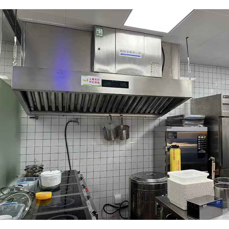 Customized Built in Electrosta - Commercial Kitchen Exhaust Hood review and price
