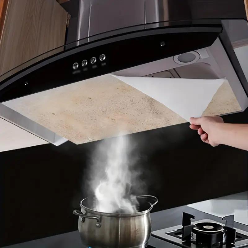 12PCS Heavy-Duty Range Hood Fi - Commercial Kitchen Oil Filter review and price